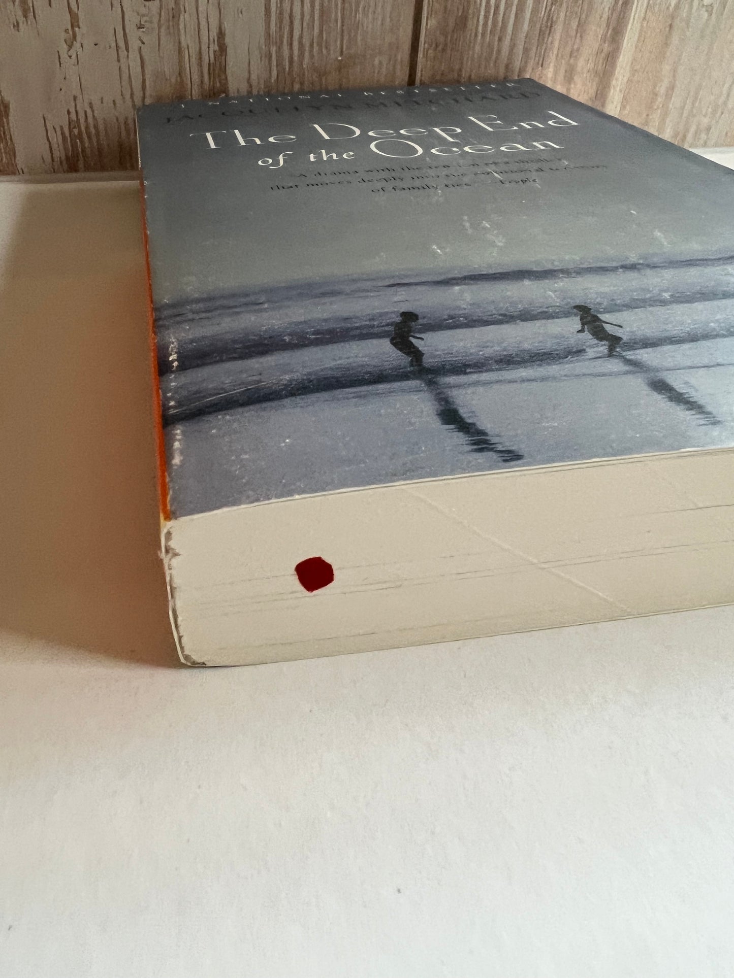 The Deep End of the Ocean
