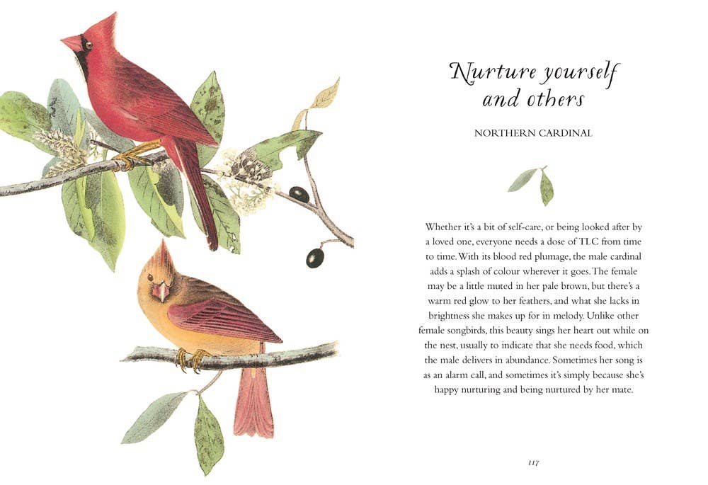 Wisdom of Birds: Essential Life Lessons
