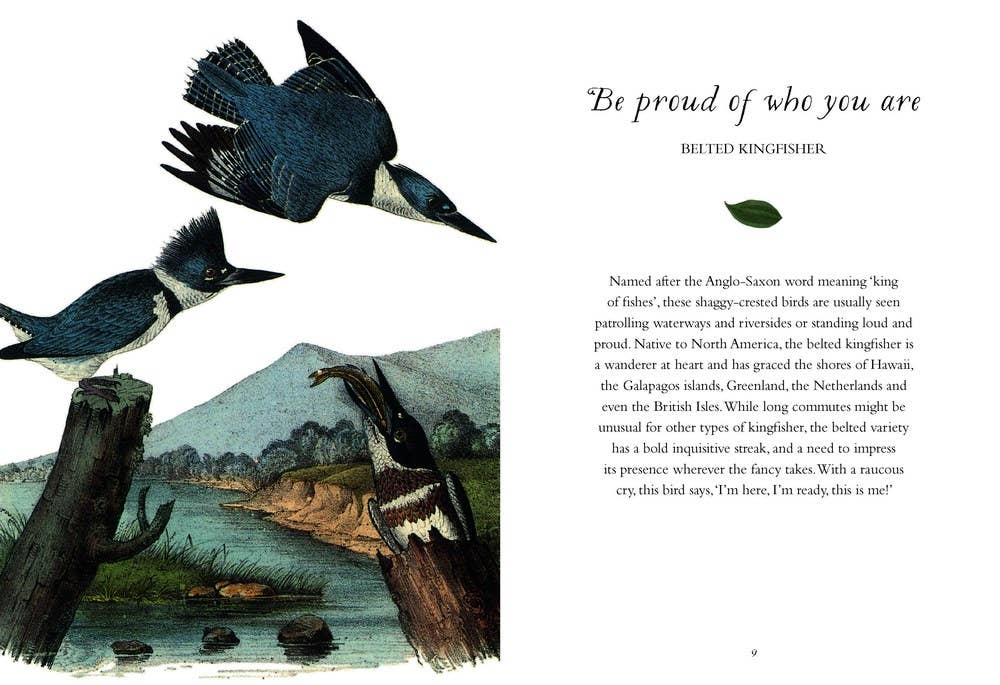 Wisdom of Birds: Essential Life Lessons