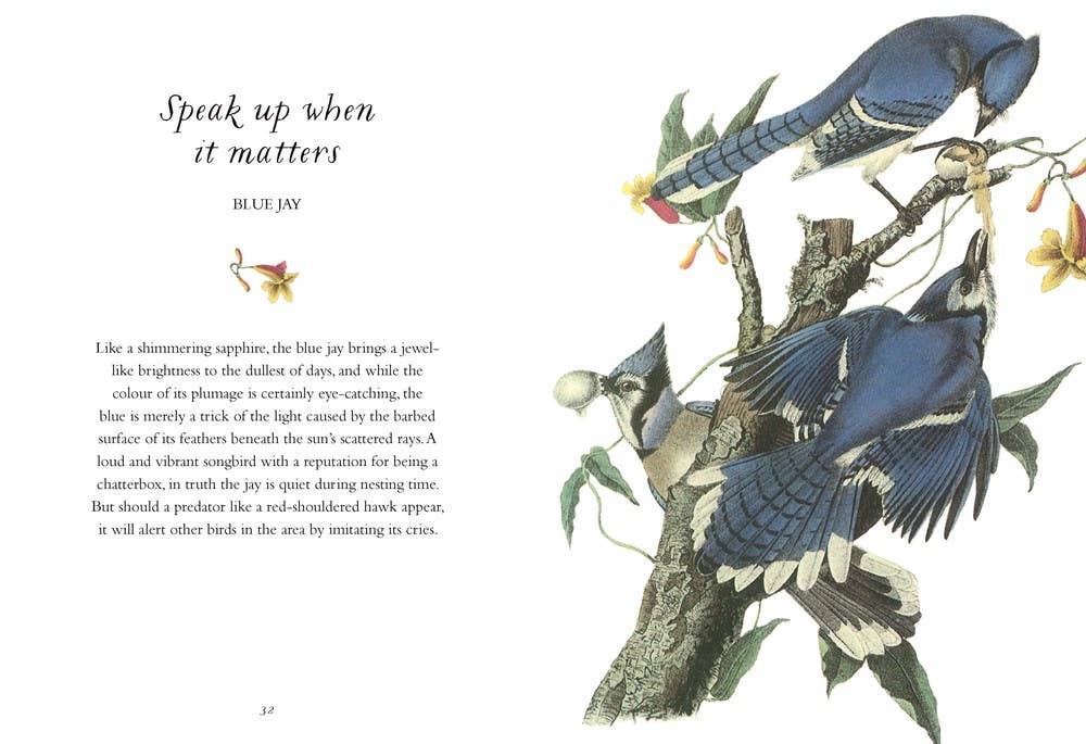 Wisdom of Birds: Essential Life Lessons