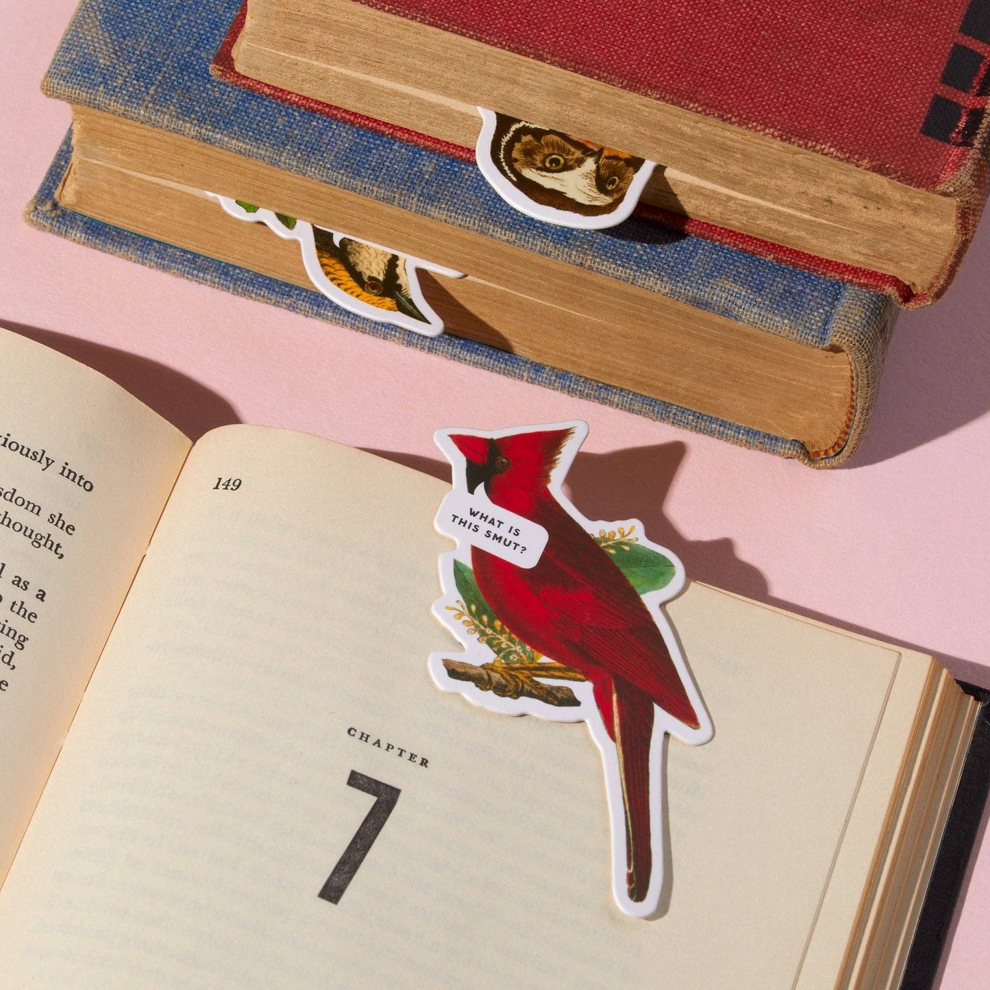 Brass Monkey Salty Birds Magnetic Bookmark Set