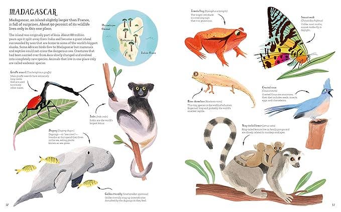 The World of Animals: An Illustrated Guide to the Wonders