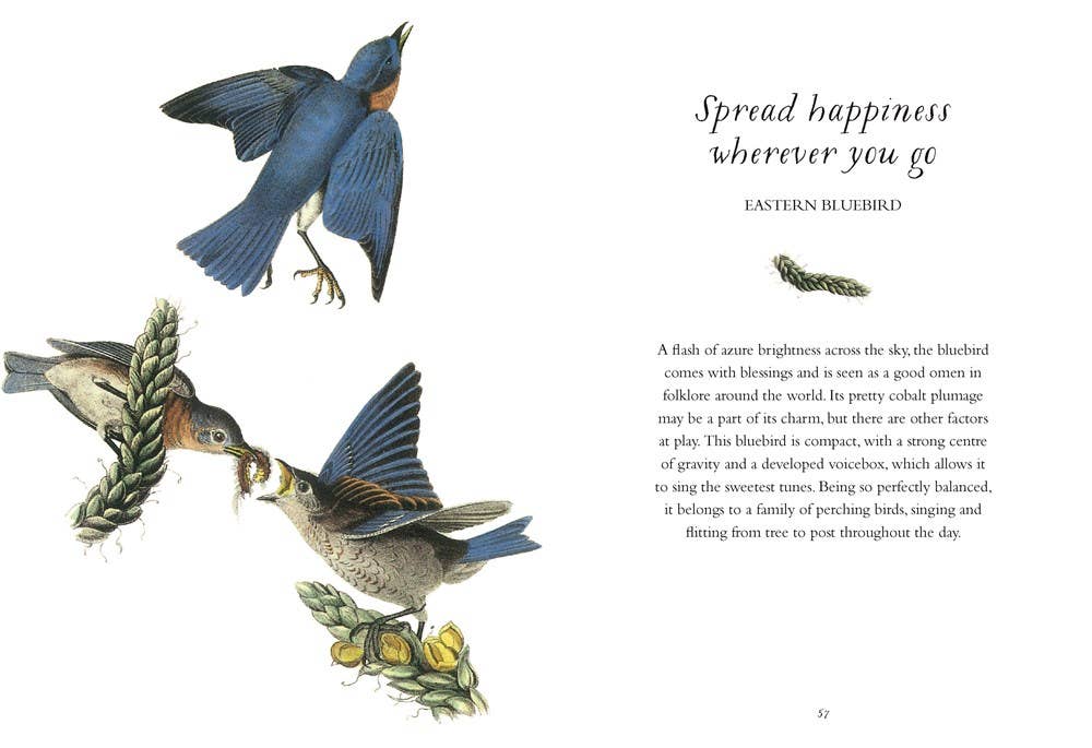 Wisdom of Birds: Essential Life Lessons