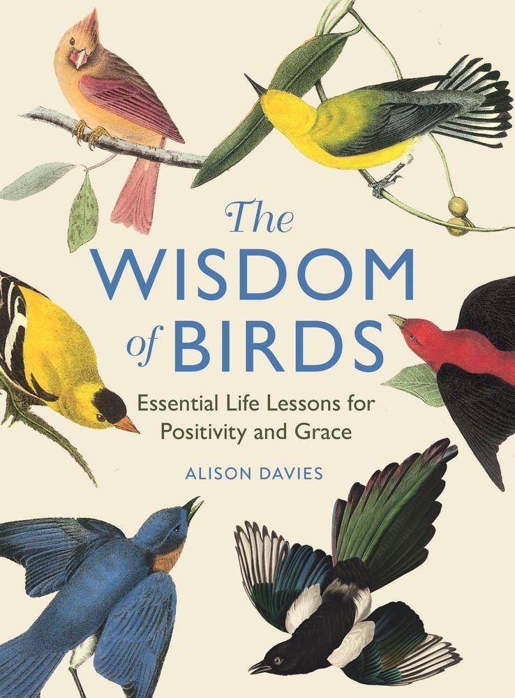 Wisdom of Birds: Essential Life Lessons
