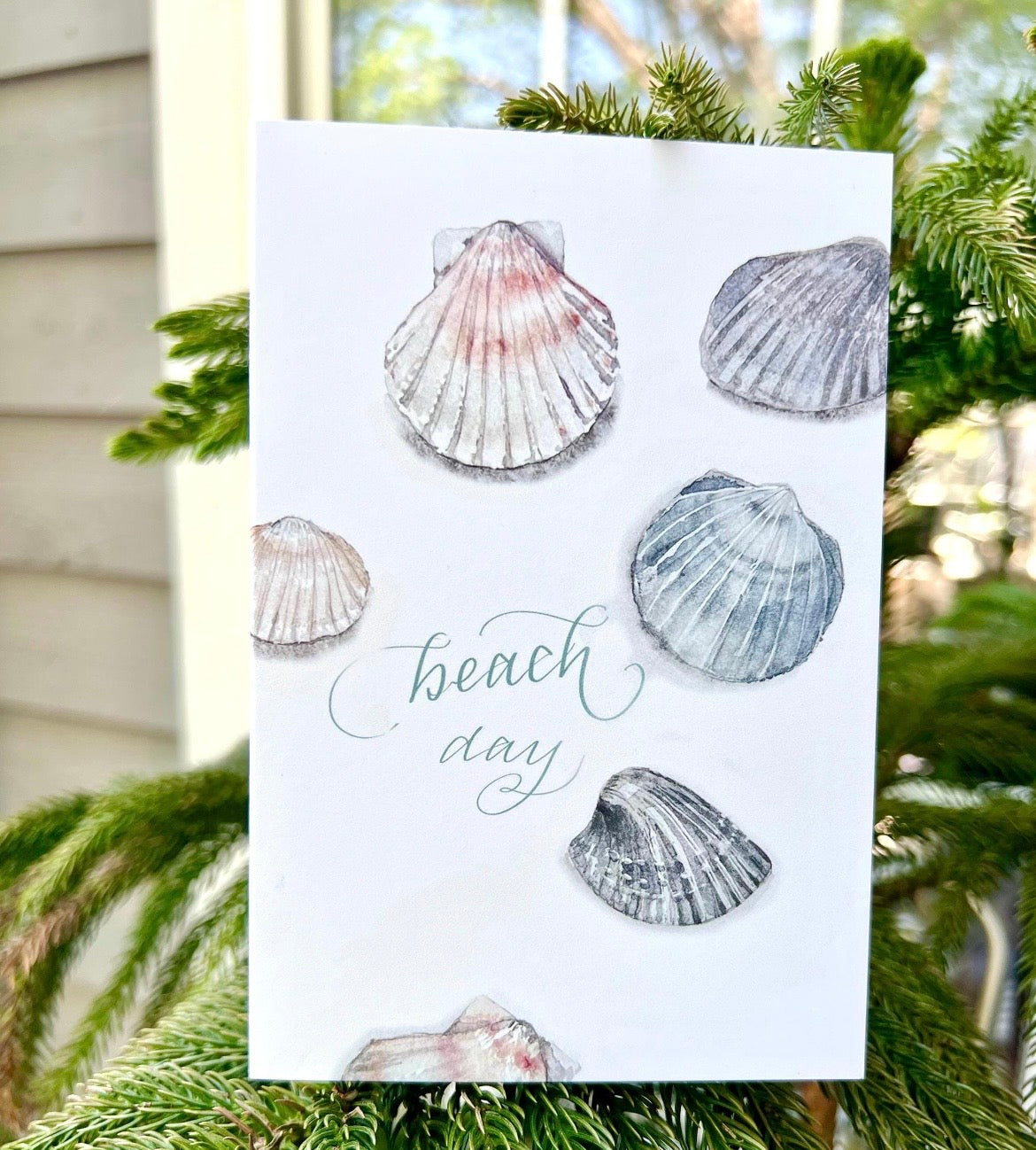 Seashell Card