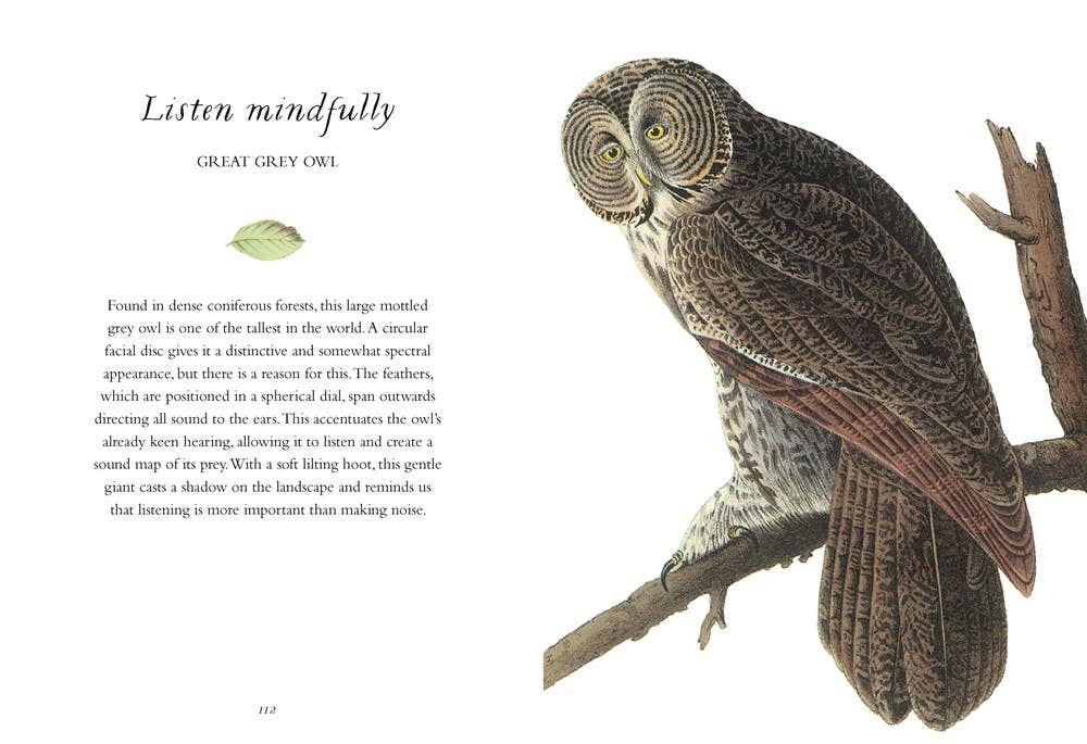 Wisdom of Birds: Essential Life Lessons