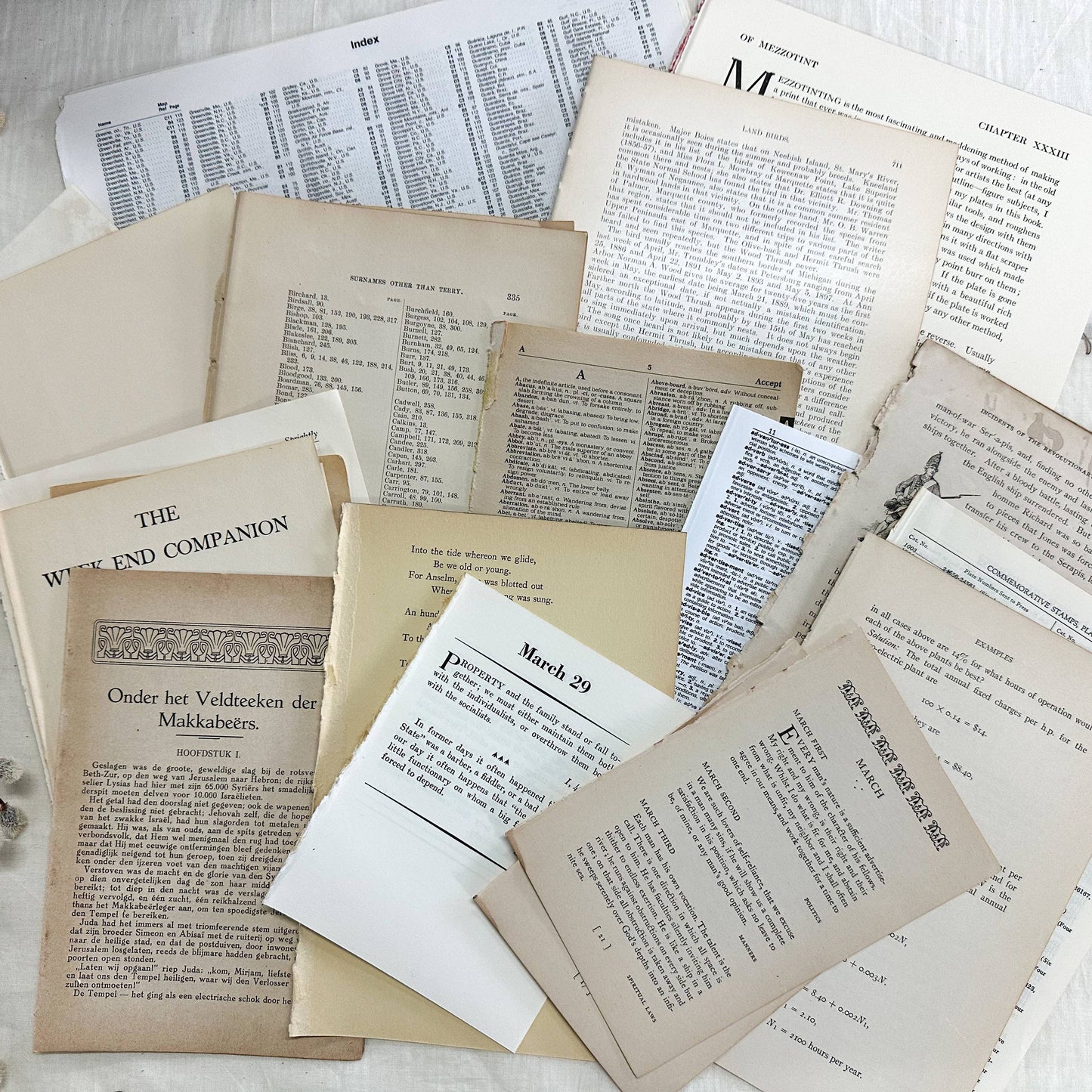 Art Kit- Vintage Book Pages for Collage and Art