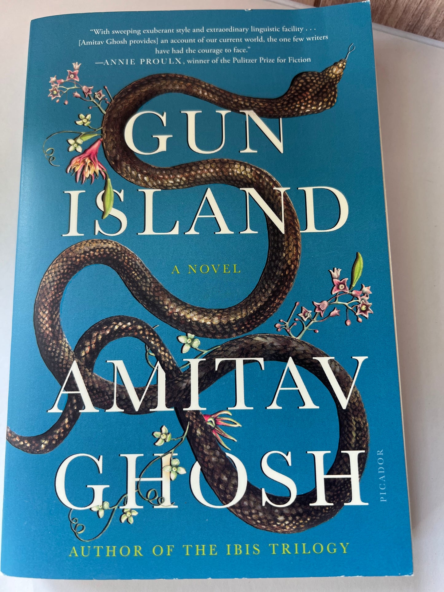 Gun Island