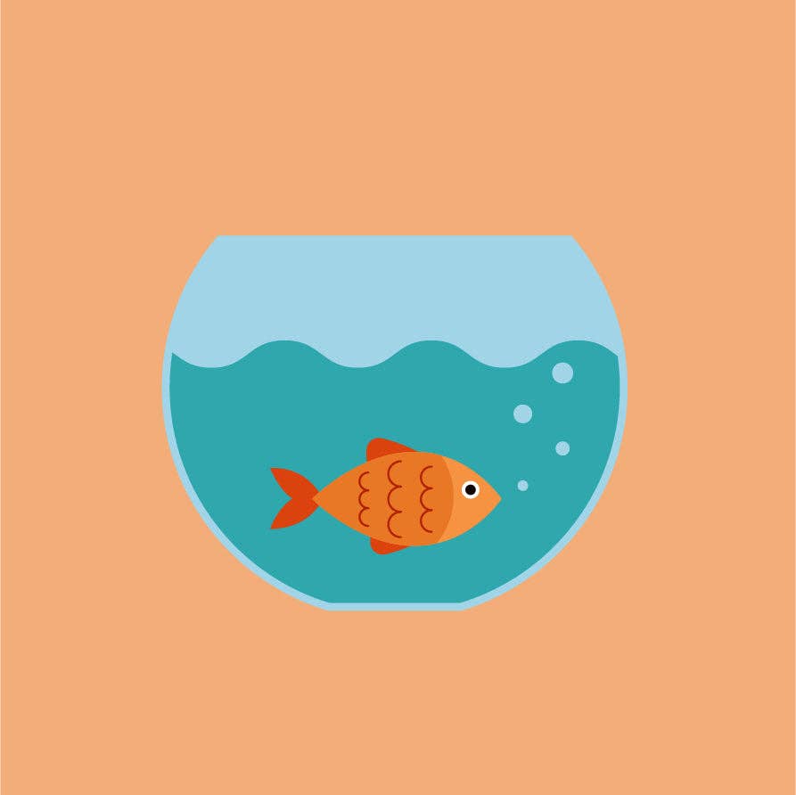 Gertie Goldfish