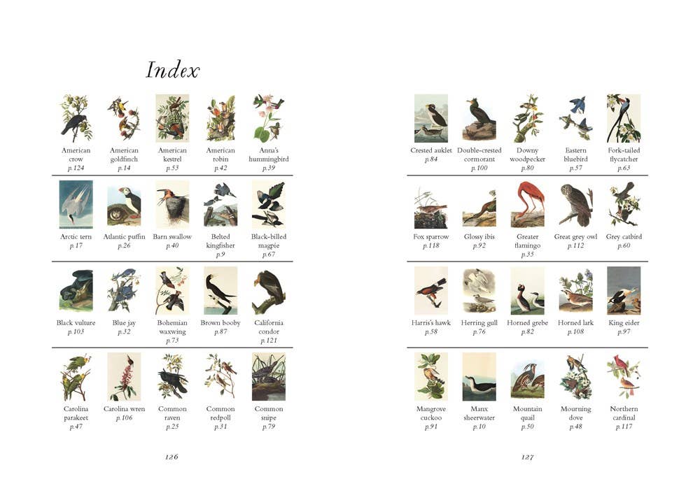 Wisdom of Birds: Essential Life Lessons