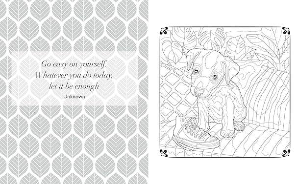 The Anxiety Relief Coloring Book