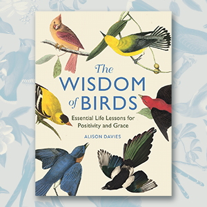 Wisdom of Birds: Essential Life Lessons