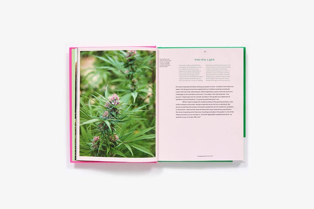 Growing Weed in the Garden