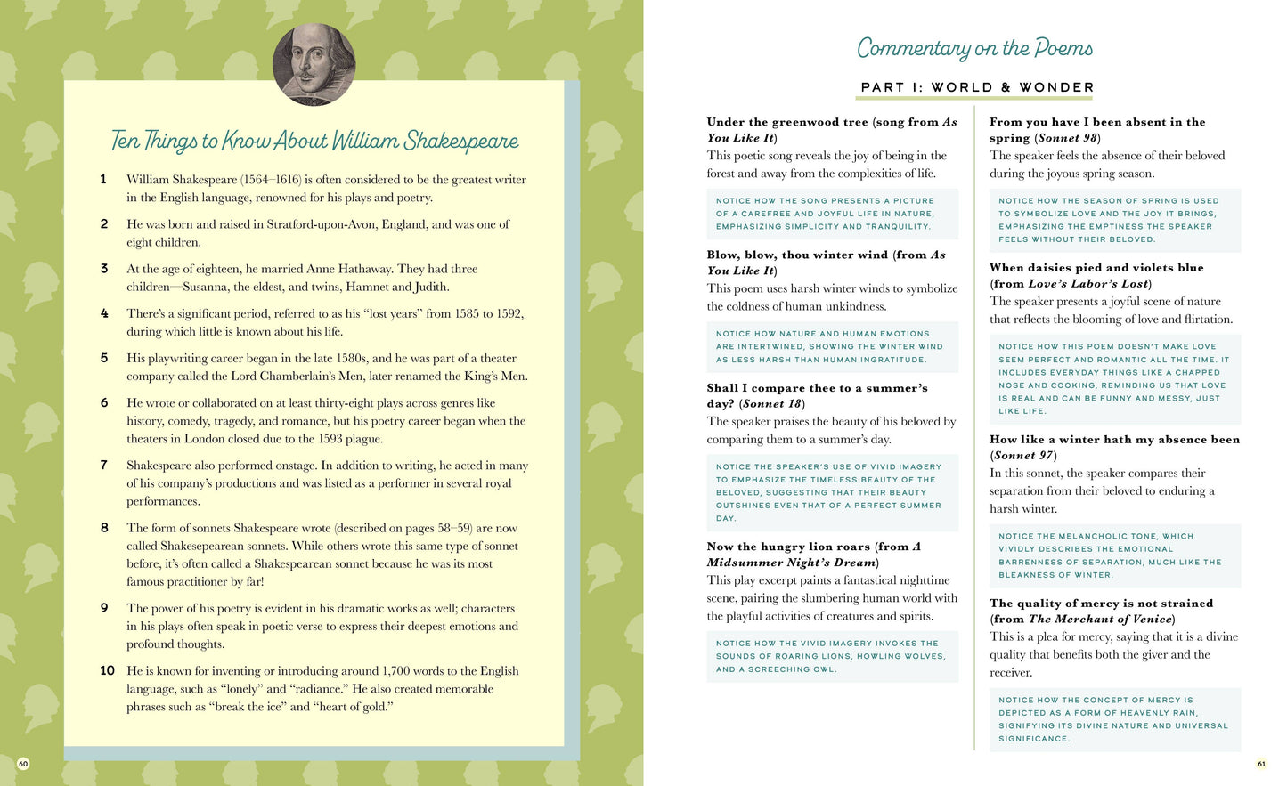 The Illustrated William Shakespeare