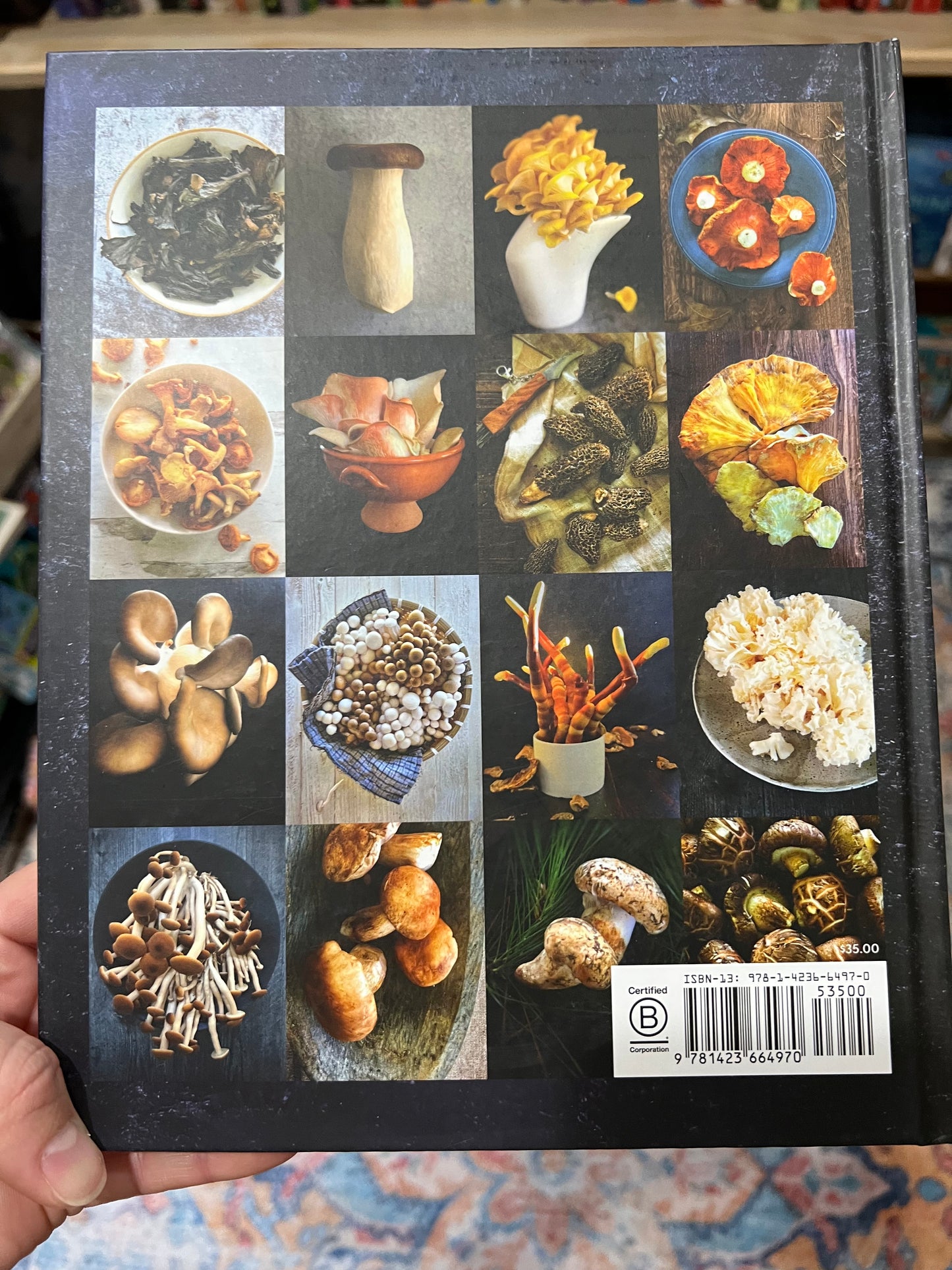 Mushroom Gastronomy