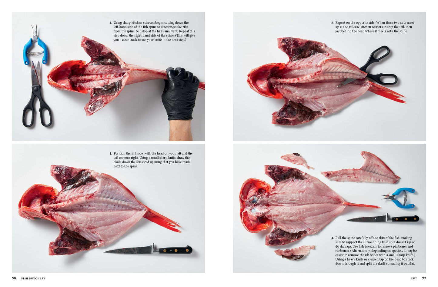 Fish Butchery