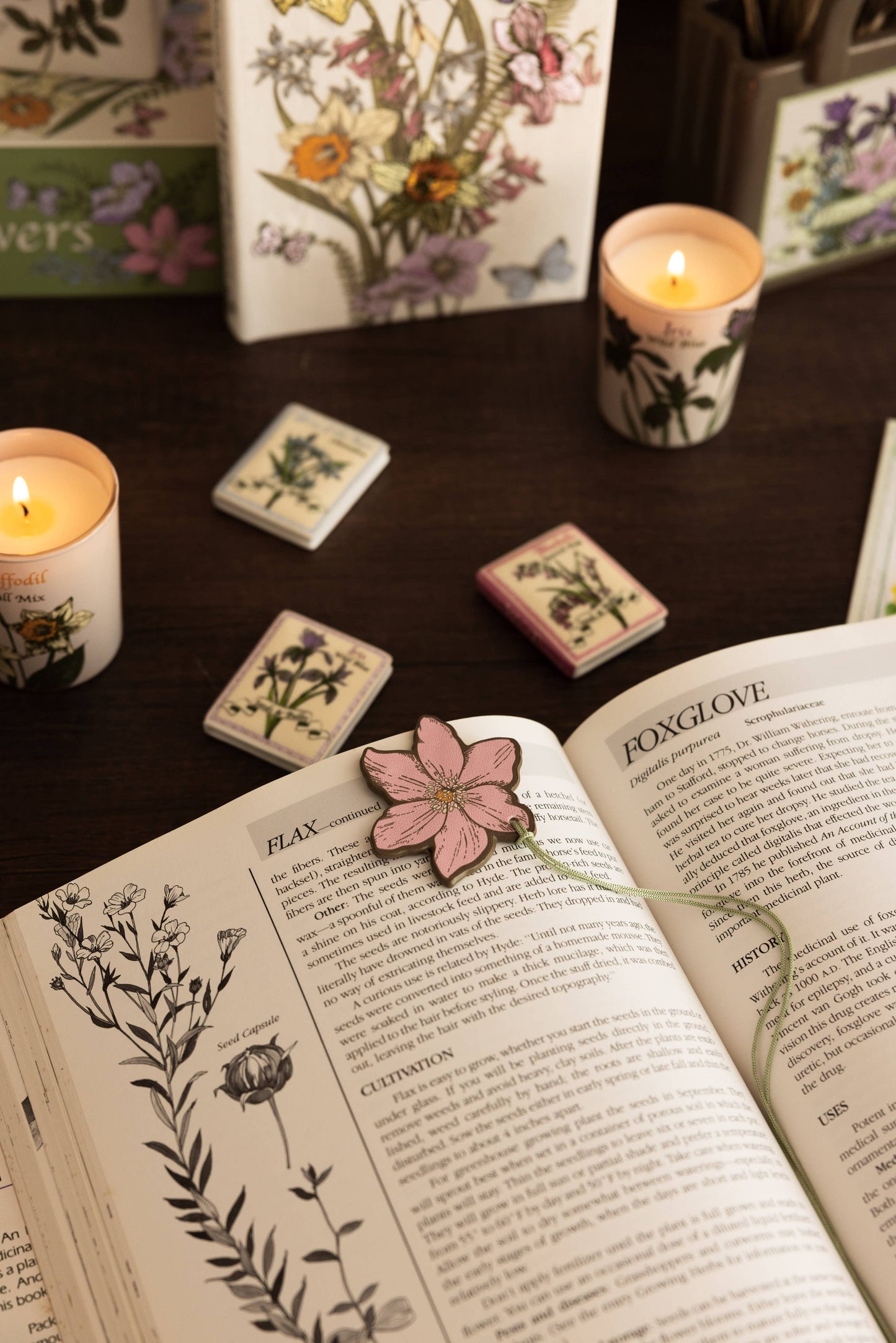 Book Magnet Set, Wildflowers