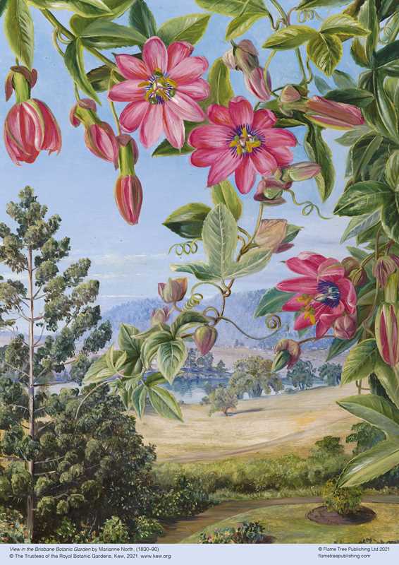 Adult Jigsaw Puzzle Kew: Marianne North: View in the Brisbane Botanic Garden (500 pieces) by