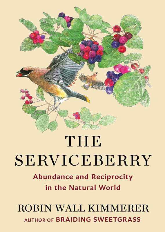 Serviceberry by Robin Wall Kimmerer – Decoy Bookstore