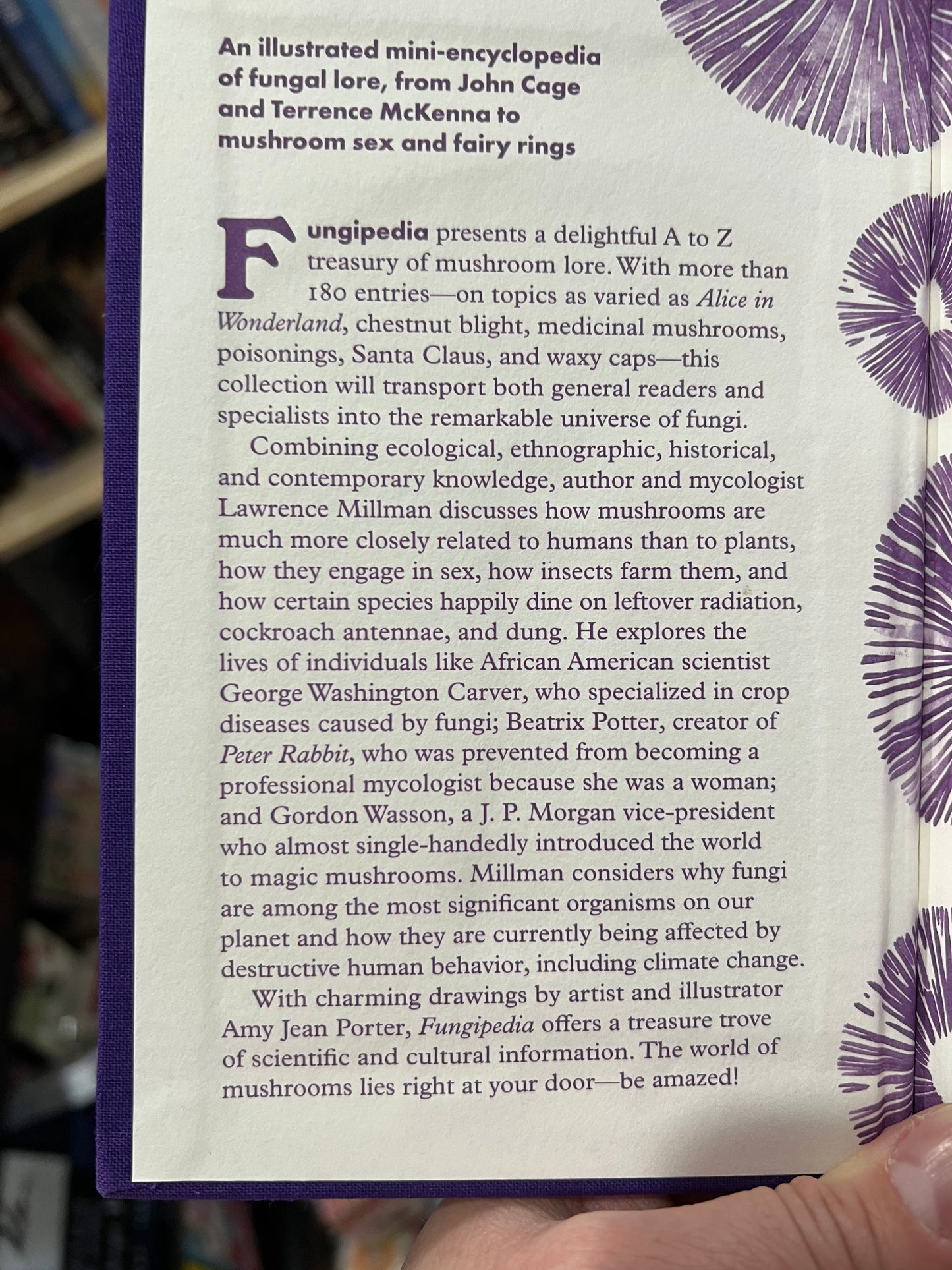 Fungipedia: A Brief Compendium of Mushroom Lore