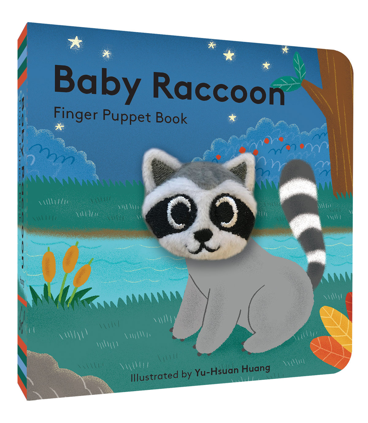 Baby Raccoon