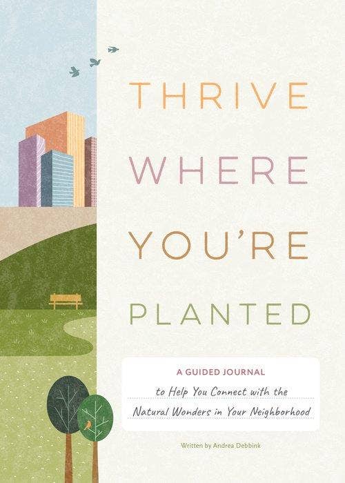 Thrive Where You'Re Planted
