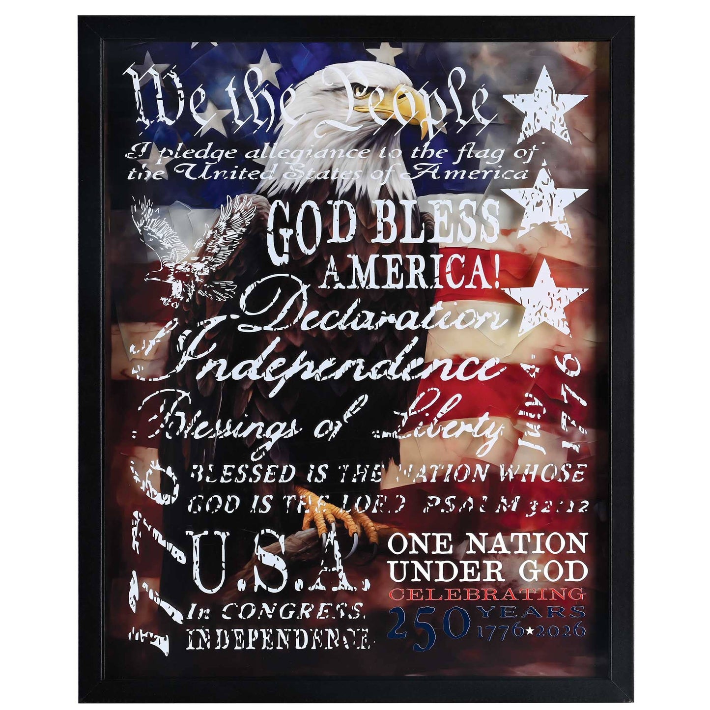 Framed Wall Eagle We The People