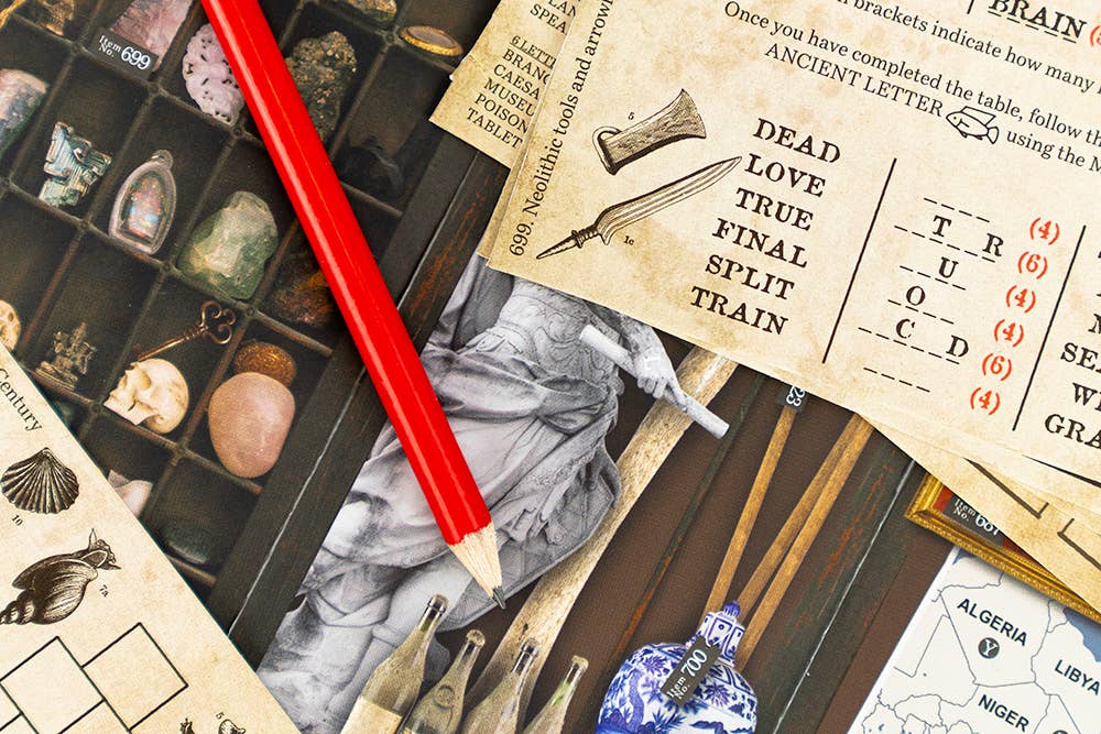 Escape from the Museum