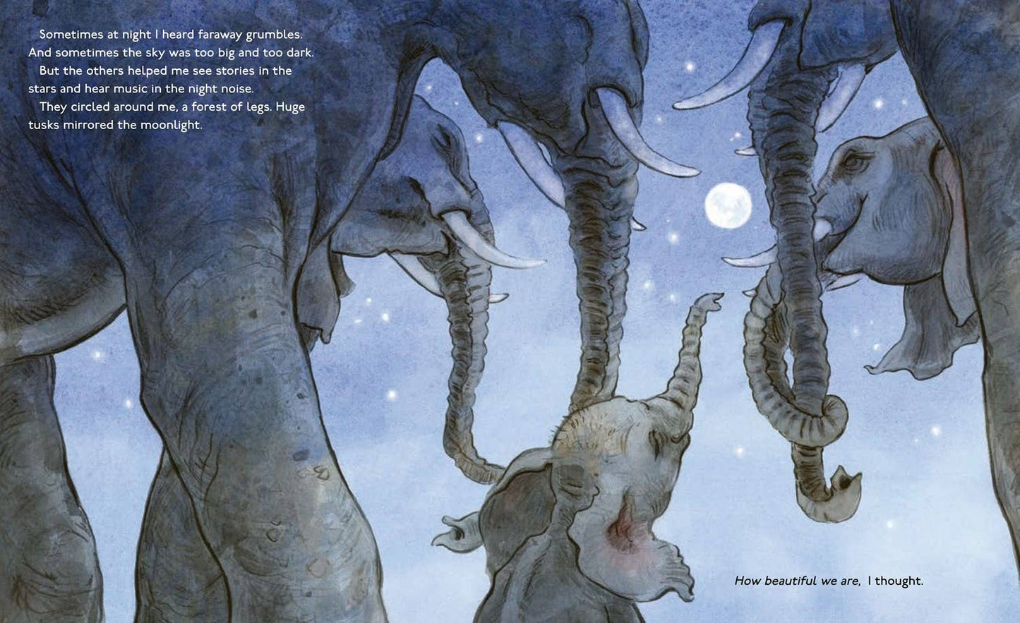 The Littlest Elephant: Katherine Applegate & Lita Judge