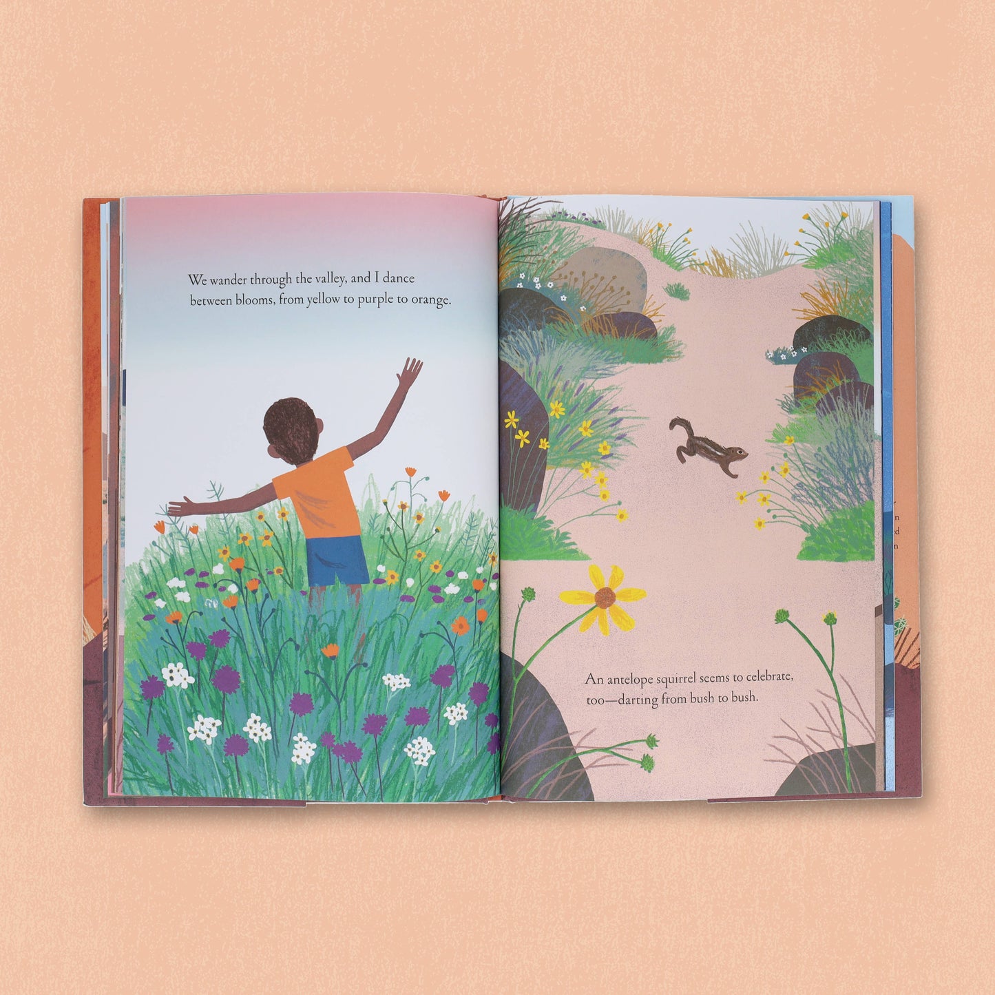 Over and Under the Canyon (Hardcover)