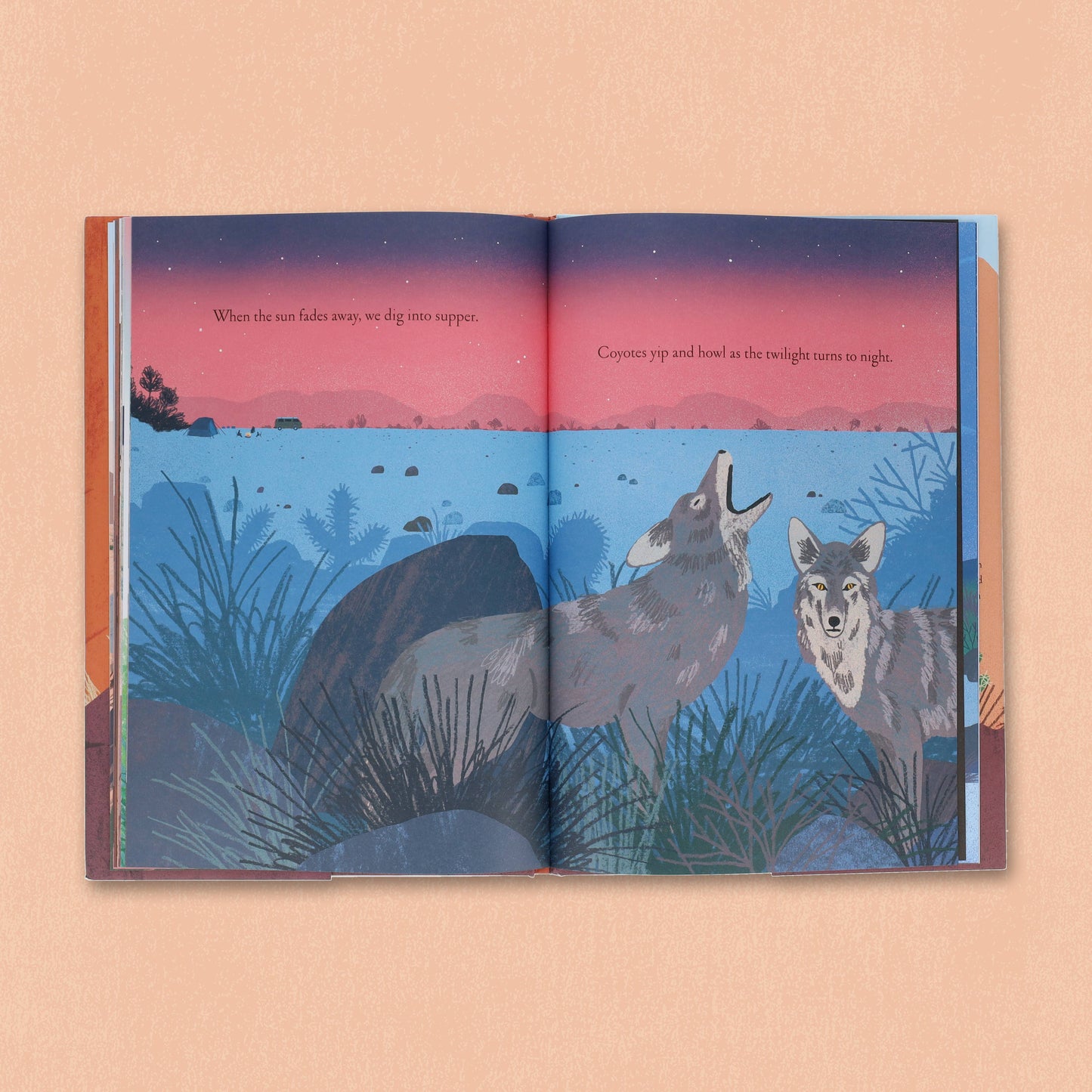 Over and Under the Canyon (Hardcover)