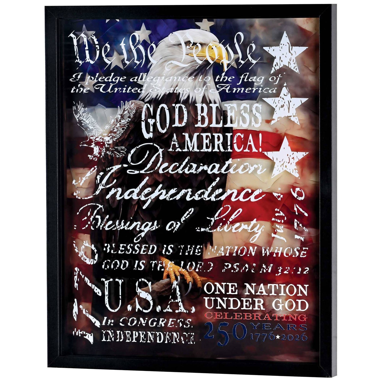 Framed Wall Eagle We The People