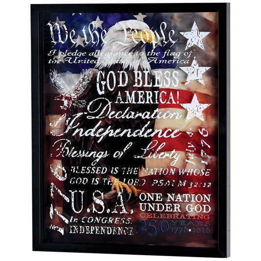 Framed Wall Eagle We The People