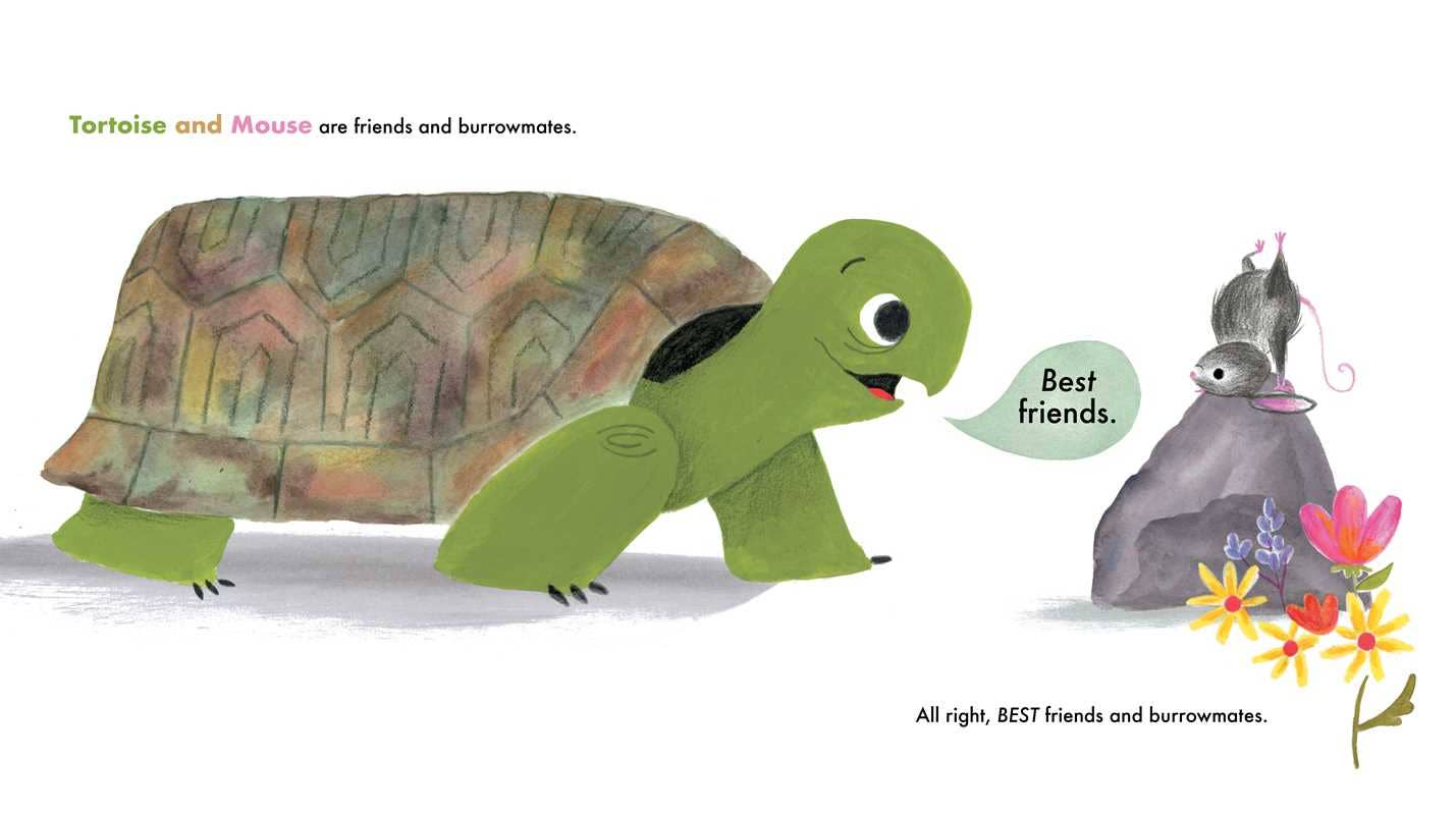 So Tortoise Dug by Emmy Kastner