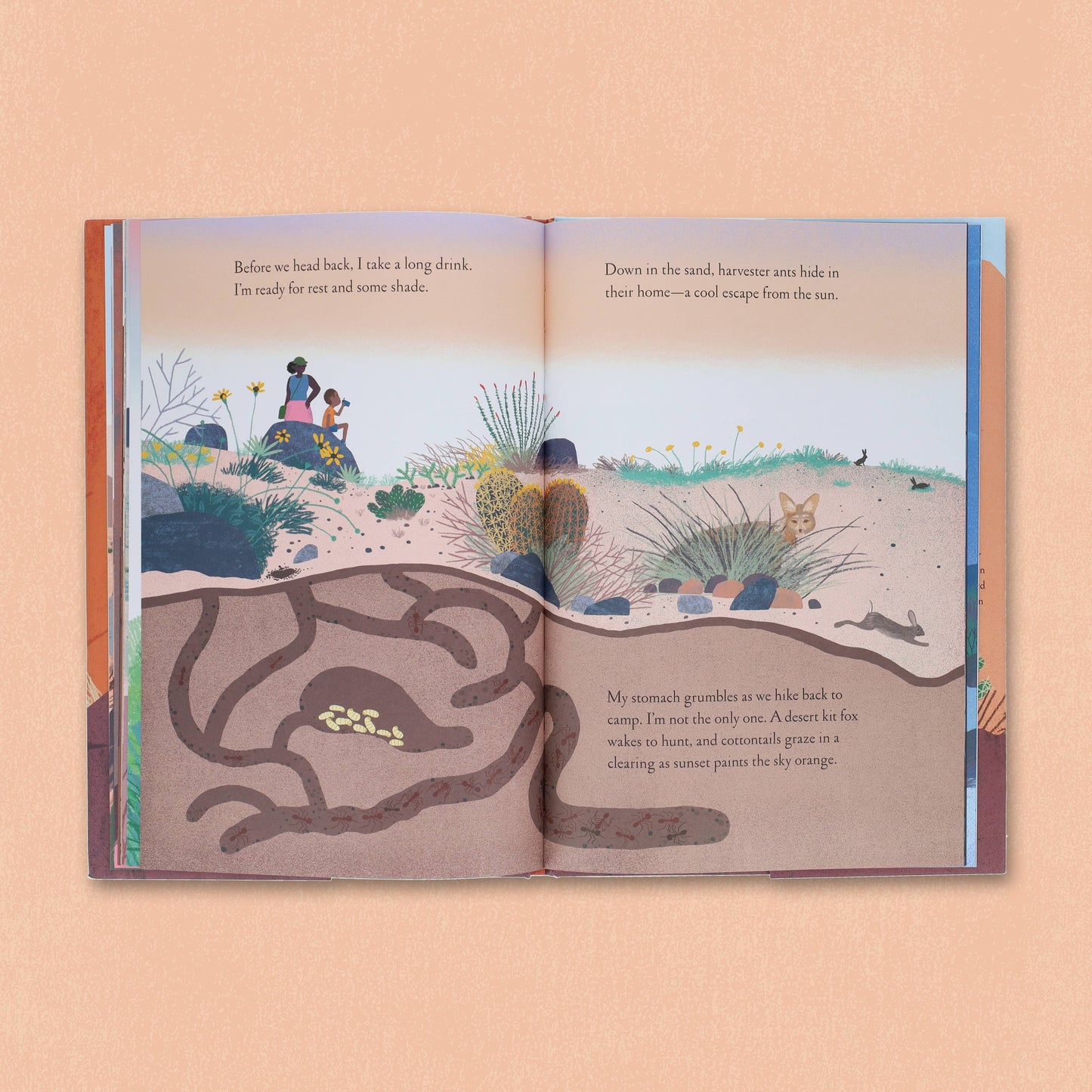 Over and Under the Canyon (Hardcover)