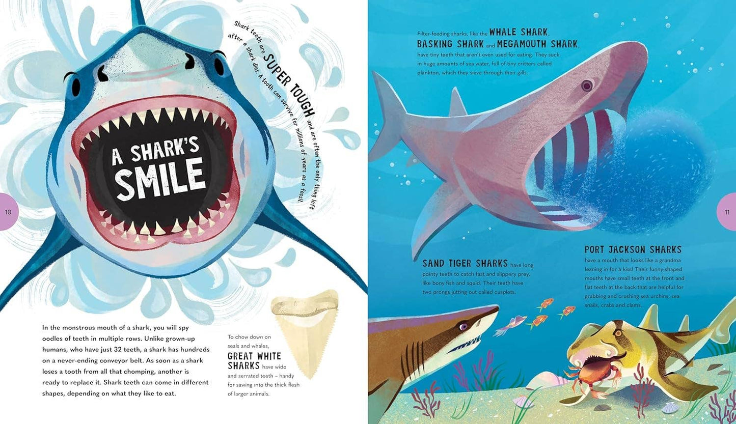 Sensational Sharks