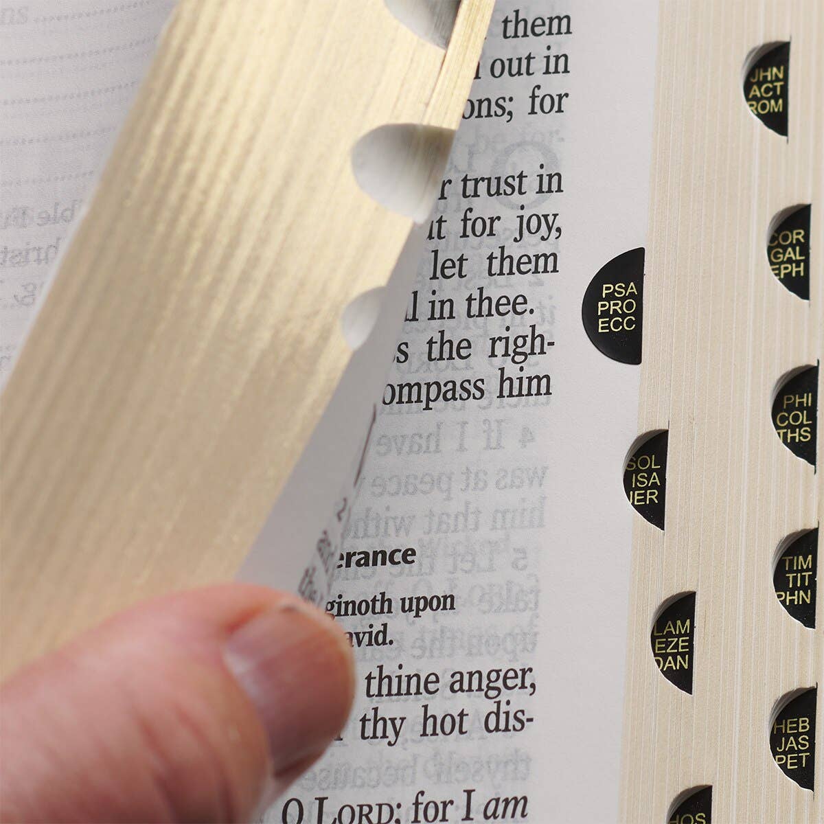 KJV Bible Giant Print Full-size Faux Leather, Espresso Brown