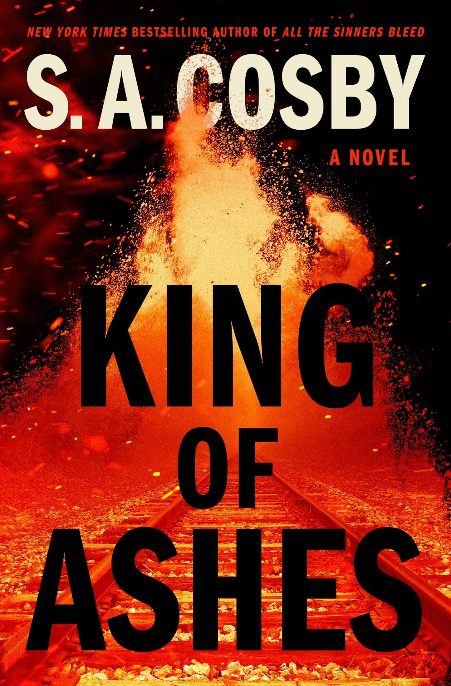 King Of Ashes: A Novel