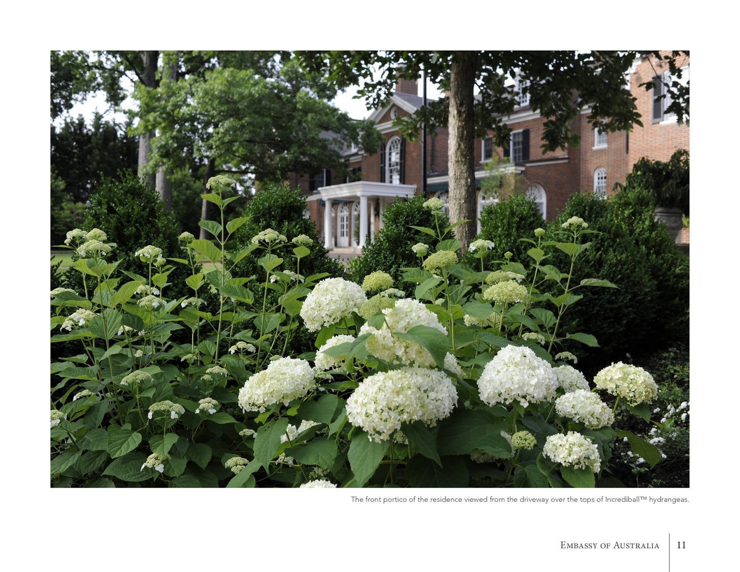 Diplomatic Gardens of Washington