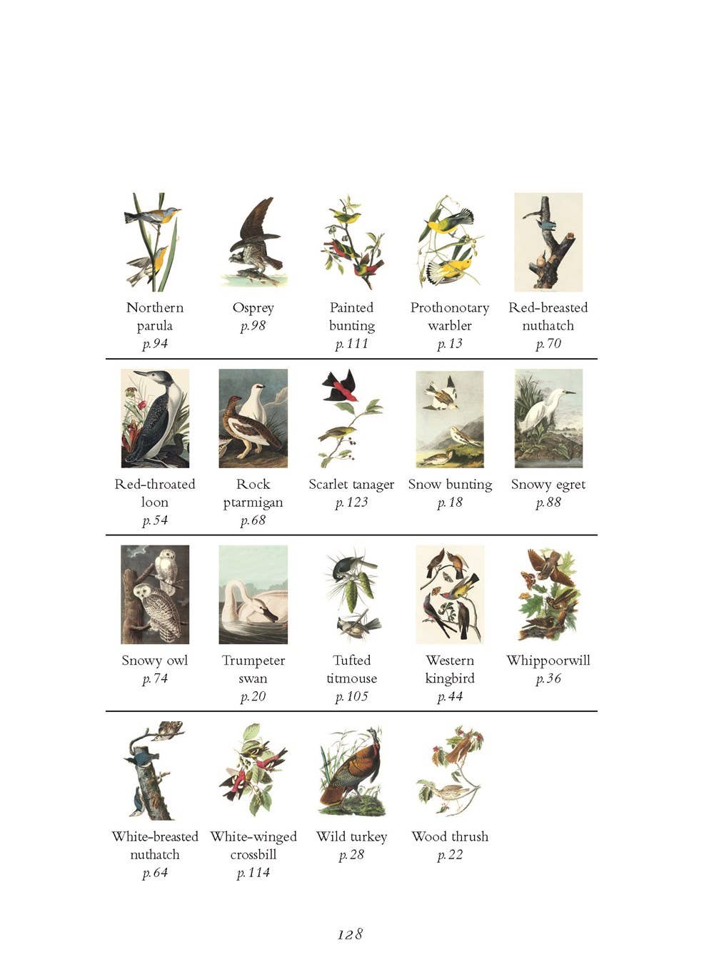 Wisdom of Birds: Essential Life Lessons