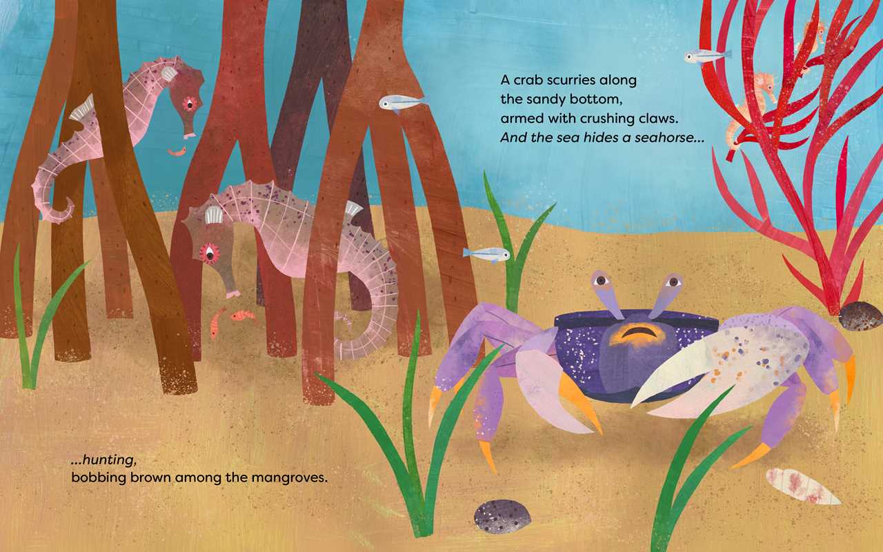 Sea Hides a Seahorse by Sara T. Behrman