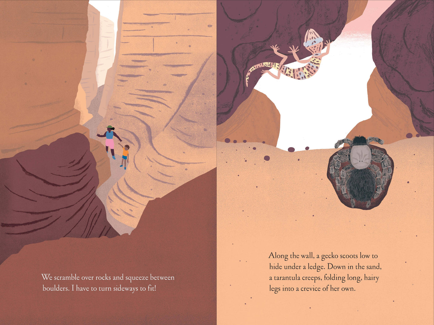Over and Under the Canyon (Hardcover)