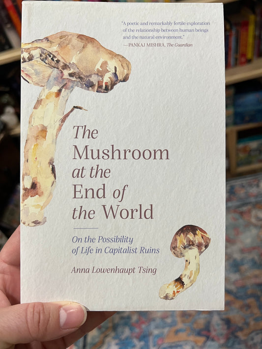The Mushroom at the End of the World