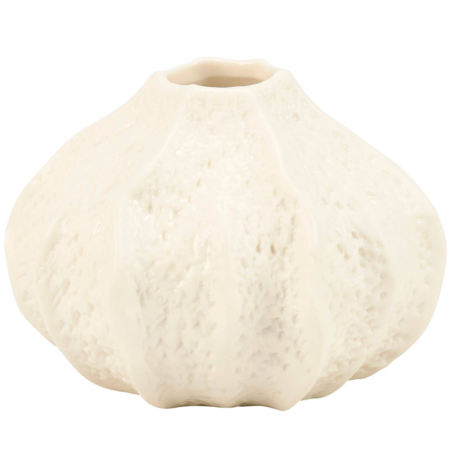Small Sea Urchin Vase