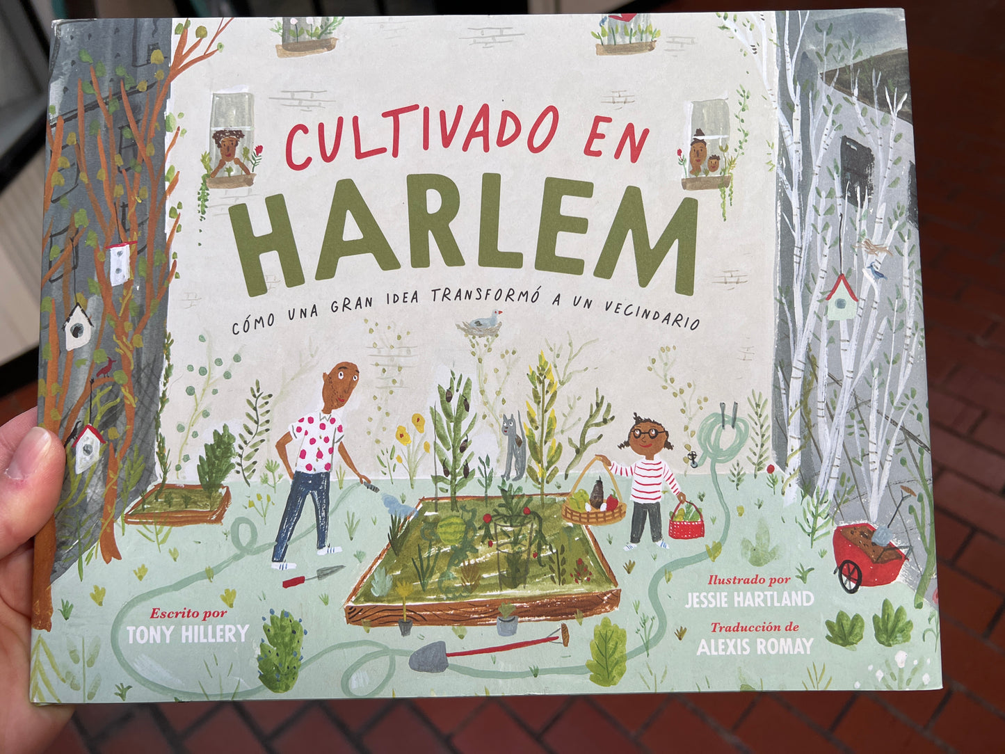 Cultivado en Harlem