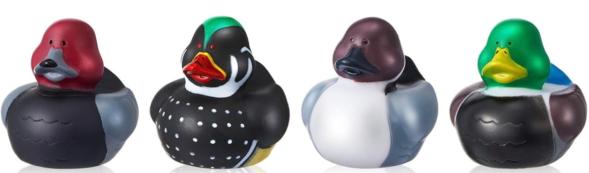 rubber duck
