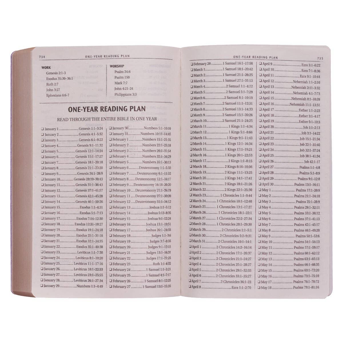 KJV Bible Outreach Softcover, Gold