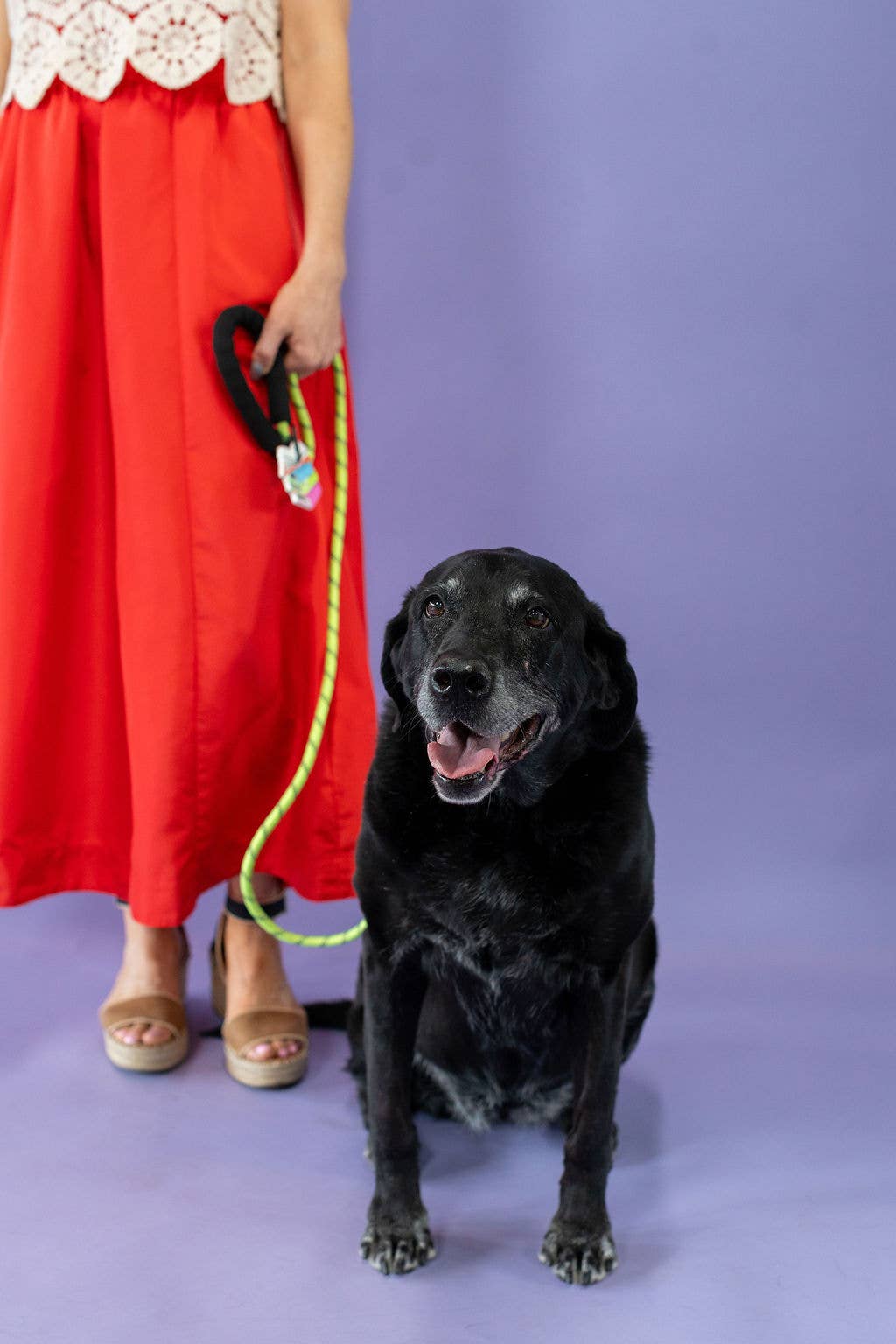 Dog Gone Well Read Poo Pal – Stack of Books Poop Bag Holder