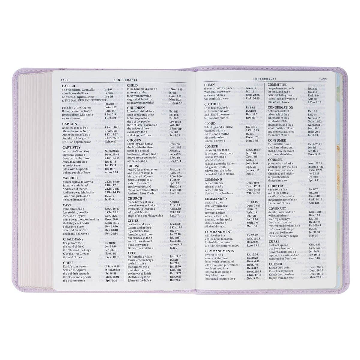KJV Bible Compact LP Faux Leather, Purple 2025