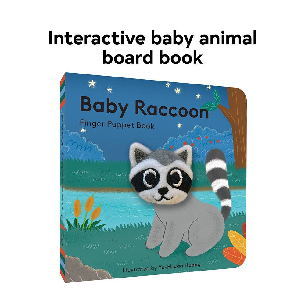 Baby Raccoon